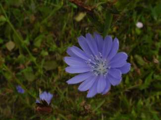DSC05587.JPG